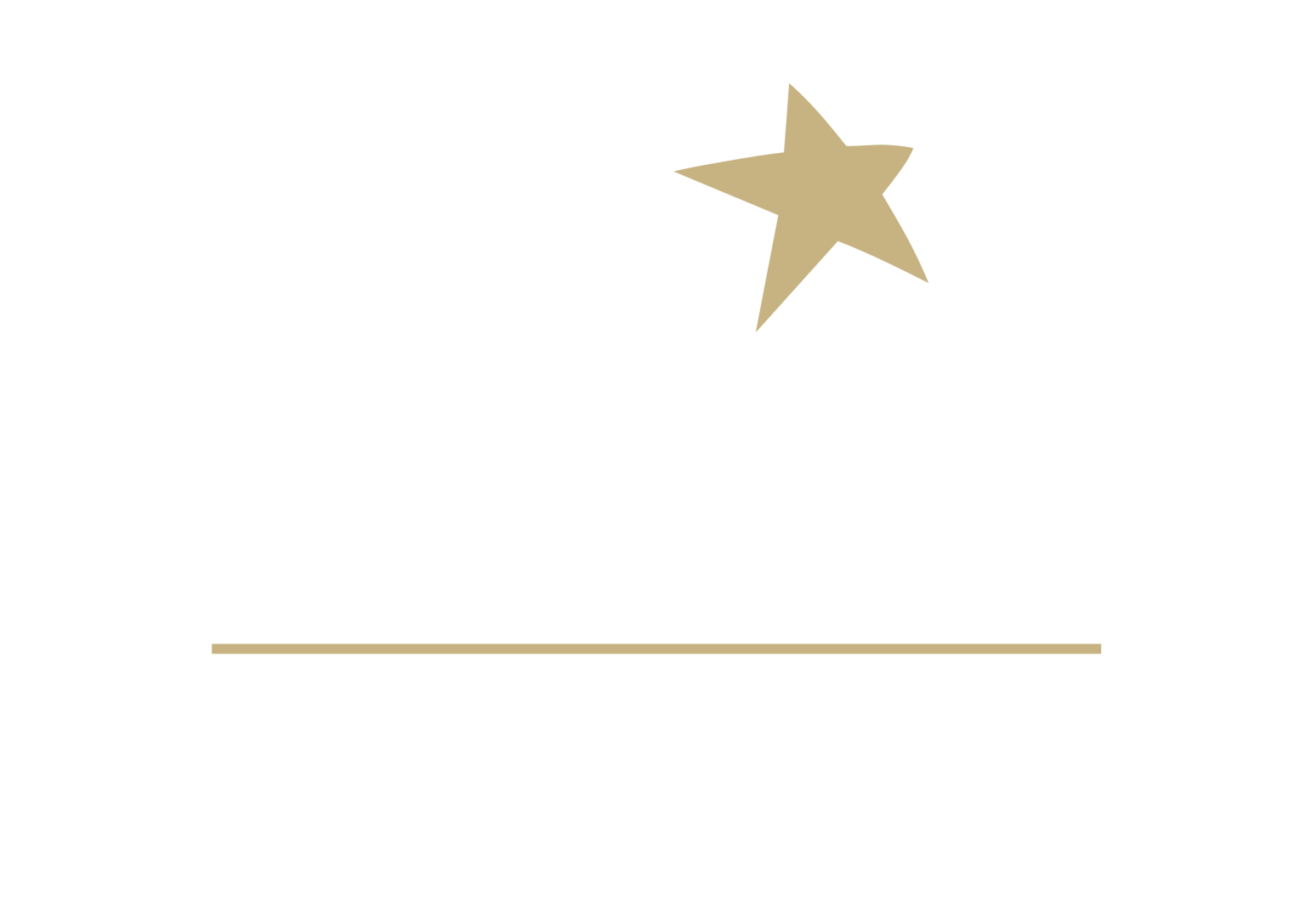 starlitemarbella logo